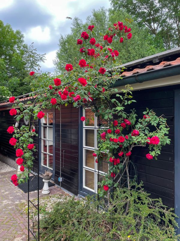 Dorpshoeve-Lodge-003