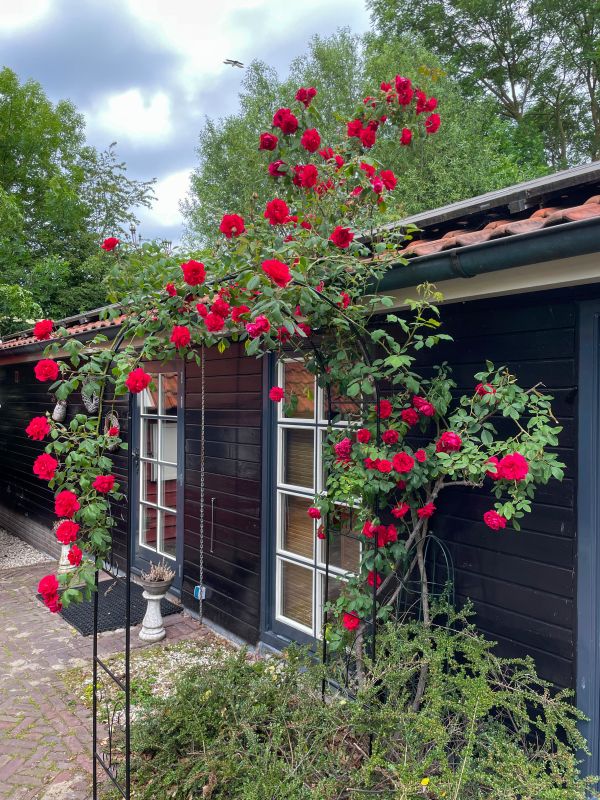 Dorpshoeve-Lodge-028