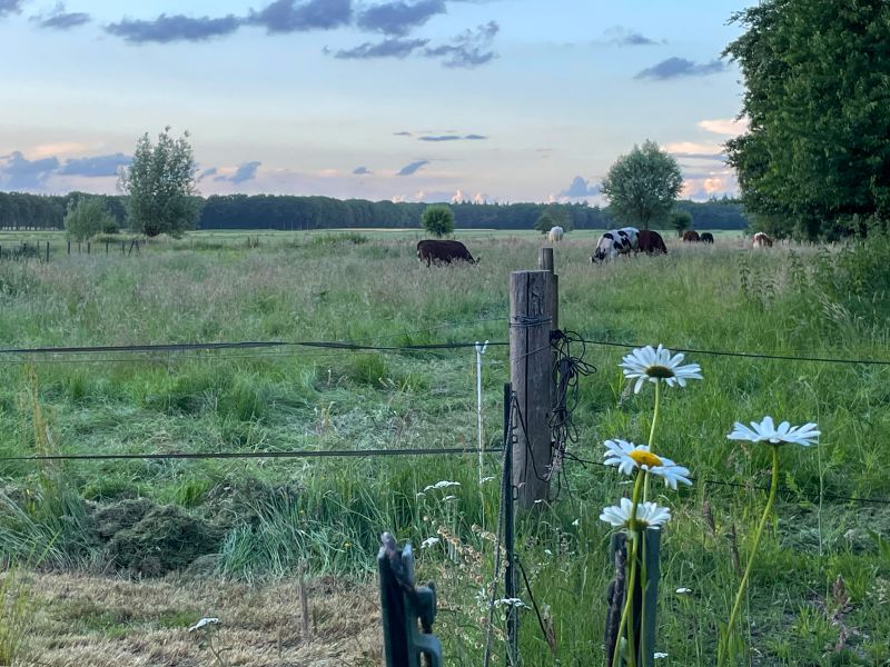 Dorpshoeve-Lodge-029